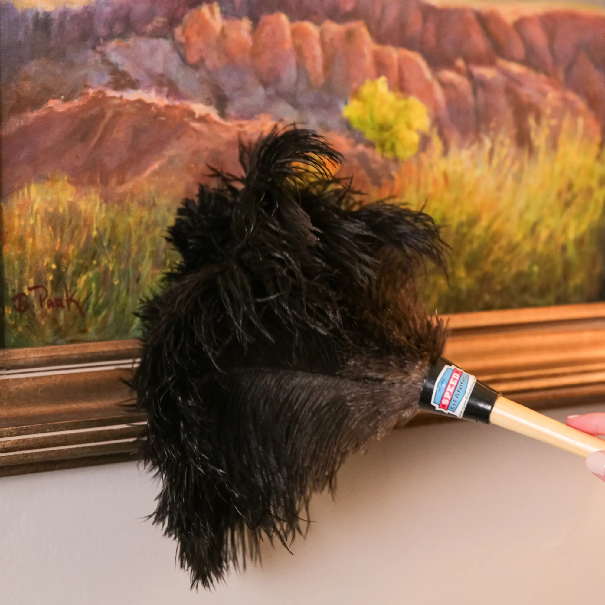 Premium Ostrich Feather Duster | 13, 18, 20 & 28 Inch Sizes - Image 8